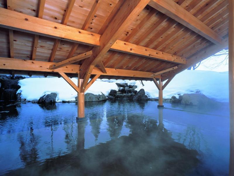 Shizukuishi Prince Hotel Екстериор снимка
